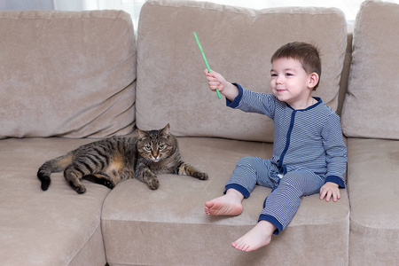 蹒跚学步的男孩正在家玩猫猫