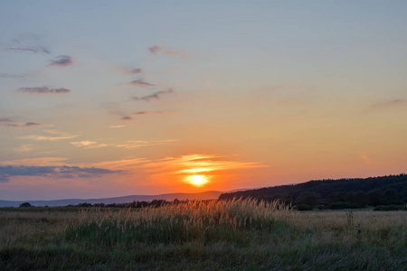蠕虫太阳落山图片
