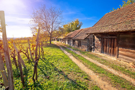克罗地亚卡拉尼克地区的葡萄酒历史街葡萄园和木屋街