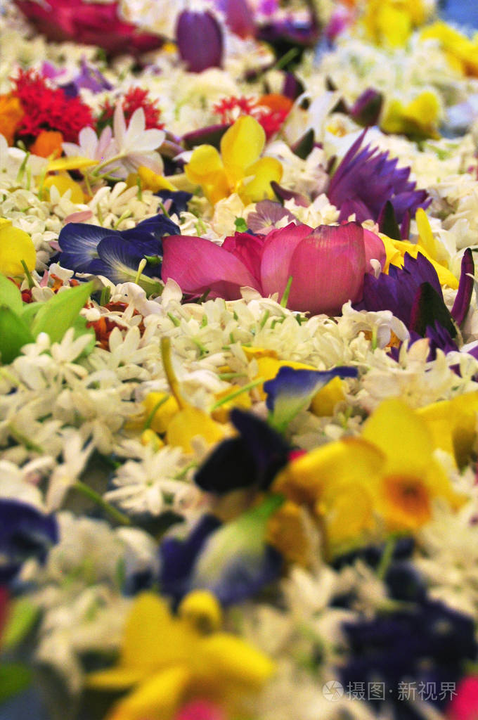 美丽芬芳的鲜花堆成的抽象背景