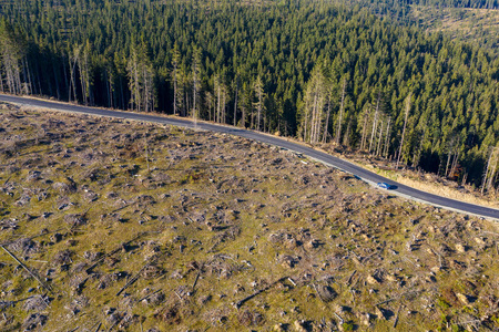 砍伐森林的空中照片。 罗马尼亚被摧毁的森林的无人机射击。 全球变暖概念
