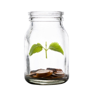 有利可图的储蓄的概念。 一堆硬币和一株小植物从罐子里发芽。 白色背景隔离。