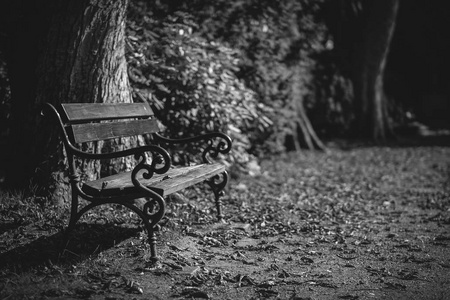 墓地公园的长凳，黑白详细拍摄