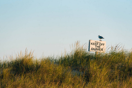 Keep off the Dunes34