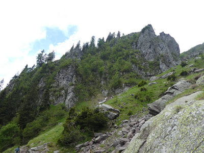 意大利南部提罗尔高山的顶峰岩石全景景观，欧洲日光林树木