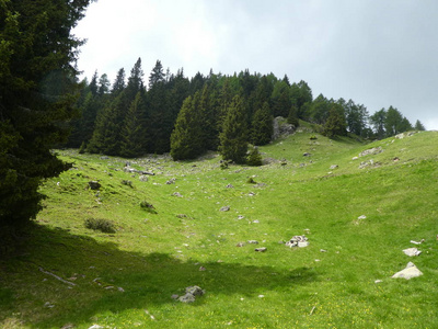 意大利南部提罗尔高山的顶峰岩石全景景观，欧洲日光林树木