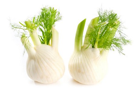 白色背景叶片的单个鲜茴香球照片