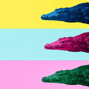 最小的当代拼贴艺术。 颜色鳄鱼混合。 生命是丰富多彩的概念