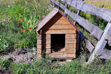 附近的狗窝图片