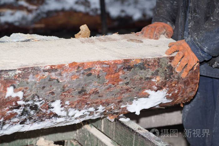 切割木板上的原木。在冬天的过程中一棵树。木材加工。