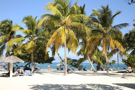 热带海滩，白沙，加勒比海蓝天下的棕榈树