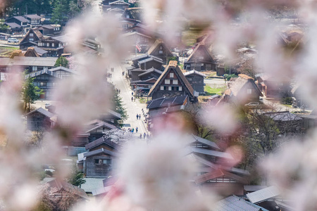 著名的传统加苏祖库里农舍在长川果村日本。