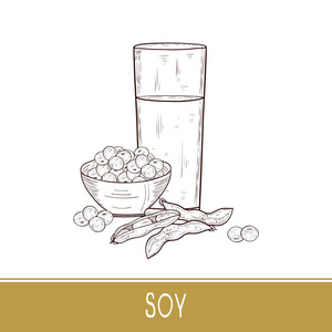 牛奶,豆荚,大豆.玻璃, 碗.素描.单声道照片