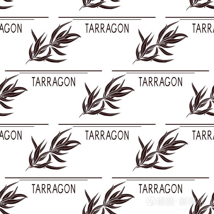 塔拉贡植物茎叶子背景壁纸无缝纹理黑色剪影