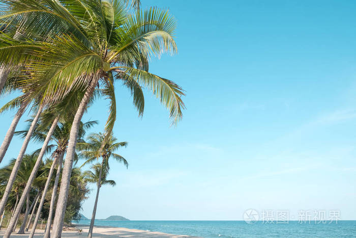 美丽的椰子棕榈树景观在热带海滩海景在夏天。 夏季背景概念。