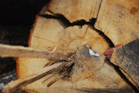 锯木厂的原木和木材