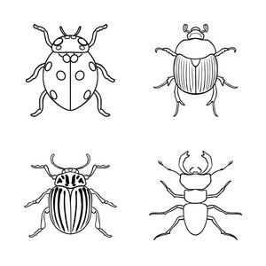 昆虫和甲虫标志的矢量图。收集昆虫和万圣节股票符号的网络