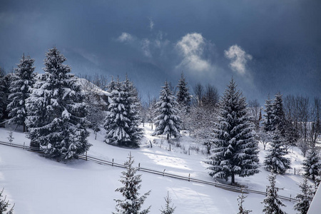 圣诞节和新年背景，山上有冬天的树，覆盖着新鲜的雪魔法节日背景