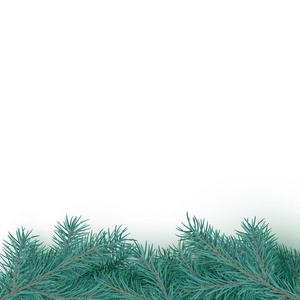 杉树现实边界背景。 圣诞树的质地。 冬季季节性装饰品，有文字空间。 白色背景下分离的矢量插图