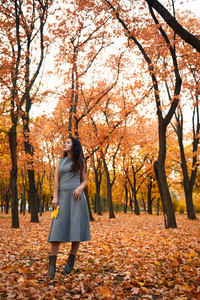 漂亮的女人在大树附近的秋天公园里摆姿势。 秋天的美丽景观。