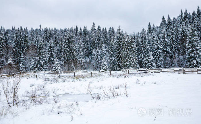在云杉林中的景色 在冬天的山上覆盖着雪 小篱笆在树的前景中 照片 正版商用图片15imrm 摄图新视界