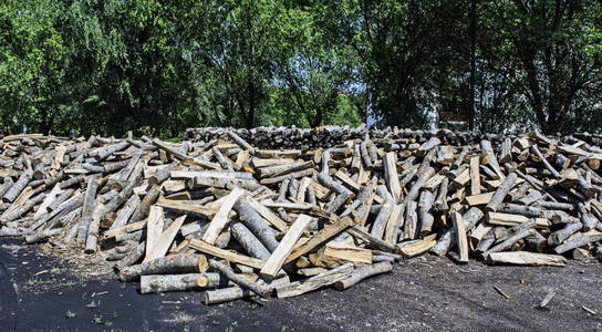 仓库里的木材切割原木，准备出售。