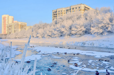 美丽的冬季城市景观，在冰冻的雪城，野鸭在河中，树木在岸上，白色的屋顶覆盖着俄罗斯诺夫库兹涅茨克