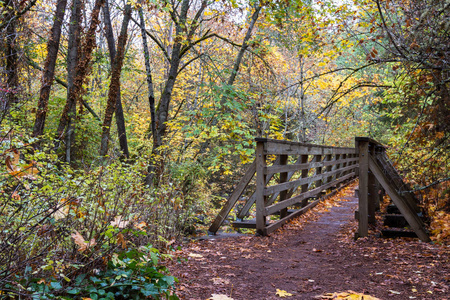 俄勒冈州南部公园秋季有金色叶子的木制步行桥