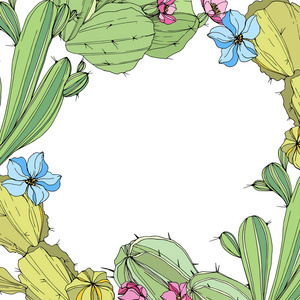 植物的沙漠矢量卡设计与肉质花卉植物浆果草本叶混合水彩手绘美丽的