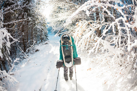 冬天山上有背包和雪鞋的女人。 去风景优美的地方旅行。 一个带着跋涉棒的金发女郎的肖像。 一个游客穿过一片雪林。 女孩沿着这条路走