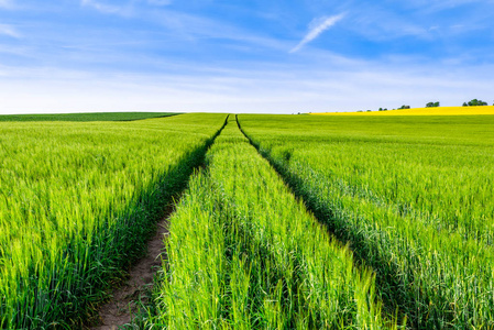 土地在地平线上图片