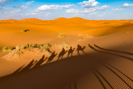 骆驼大篷车的长阴影, erg chebbi, 撒哈拉沙漠, merzouga, 摩洛哥