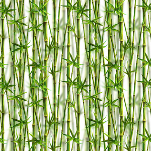 竹水彩茎叶无缝图案白色背景。水彩手绘绿色植物纹理插图。用于纺织品壁纸包装的打印。逼真的照片效果..