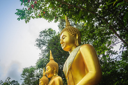 美丽平静的金佛像雕像在森林中的公共佛寺。