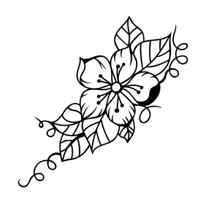 花枝树图标矢量植物设计樱桃或草莓花照片