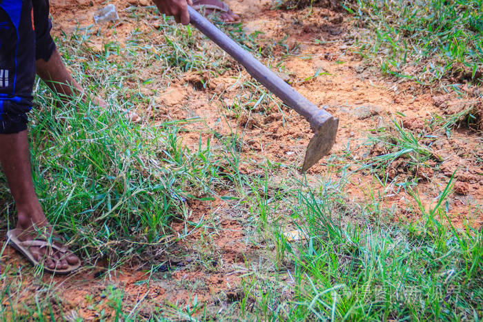 农夫正在用锄头割草用铲子割草锄头用绿色修剪草