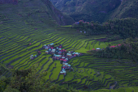 菲律宾Banaue水稻梯田景观。自1995年以来，Banaue梯田是教科文组织的世界遗产。