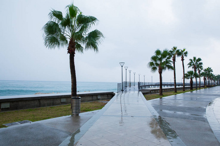 塞浦路斯帕福斯市。 海滩和碧水。 旅行照片2018年12月。 景观和自然。