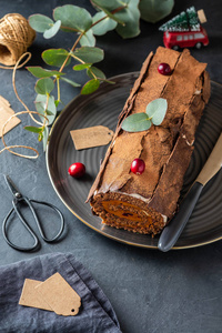 布什德诺伊尔。传统的圣诞甜点, 圣诞山核桃蛋糕与巧克力奶油, 红莓。复制空间