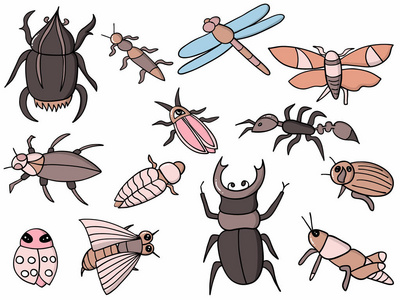 几个可爱昆虫插图的载体