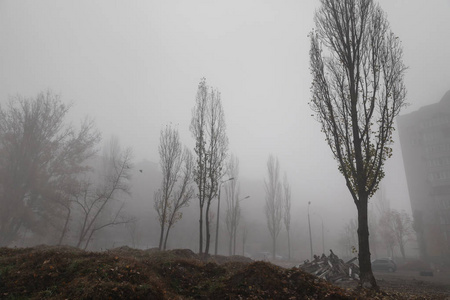 雾蒙蒙的秋天早晨在城里。 生态概念。 深雾在寒冷的秋天早晨的城市街道上。 在街道上倾倒混凝土结构
