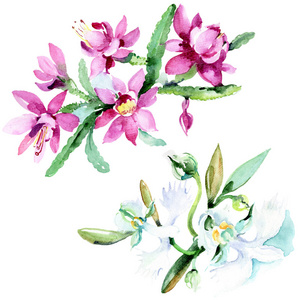 白色背景上美丽的水彩花。 水彩画水花插图。 孤立的花束插图元素。