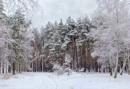 对边缘图片-对边缘素材-对边缘插画-摄图新视界