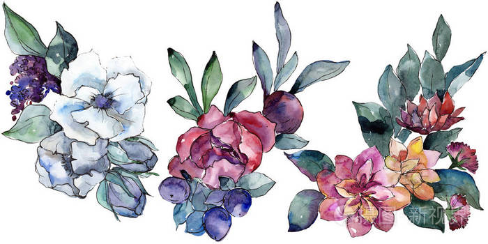 花束花植物花 水彩背景插图 水彩画水族馆 孤立的花束照片 正版商用图片15jzow 摄图新视界 花束花植物花 水彩背景插图 水彩画水族馆 孤立的花束照片 正版商用图片15jzow 摄图新视界
