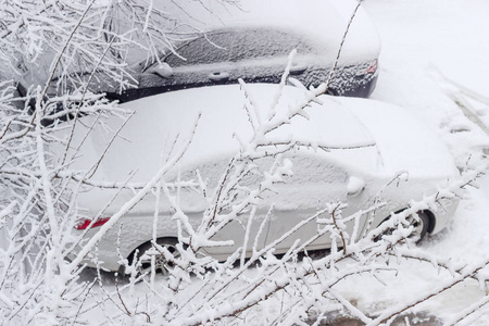 停在车上的白色和深色的车，雪后覆盖在树枝上