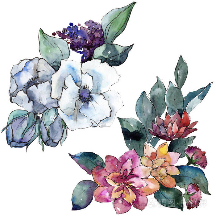 花束花植物花 水彩背景插图 水彩画水族馆 孤立的花束照片 正版商用图片15jzu7 摄图新视界 花束花植物花 水彩背景插图 水彩画水族馆 孤立的花束照片 正版商用图片15jzu7 摄图新视界