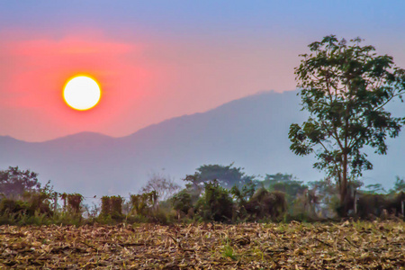 日落后，在谷谷玉米地收获后，在韩国雅伊国家公园纳洪拉奇西马泰国。 黎明时平静的山谷，早晨日出。