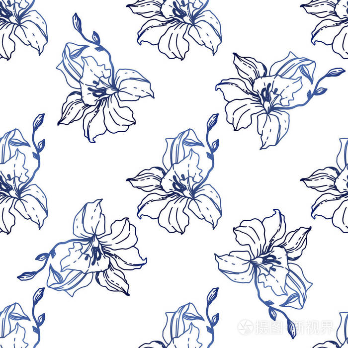 美丽的蓝色兰花花 无缝背景图案 织物壁纸印花纹理 在白色背景上雕刻墨水艺术 插画 正版商用图片15k1ow 摄图新视界