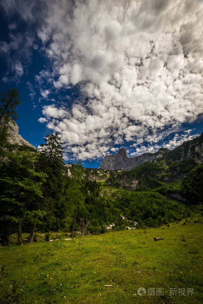 五颜六色的夏季场景,在背景下,弗瑞斯特和岩石山.