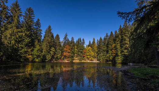 捷克摩拉维亚高原上的秋湖，有蓝天水和五颜六色的树木